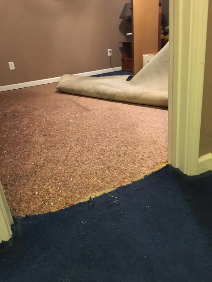 Carpet pad removal revealing water damage during Drying & Dehumidification in Maryville